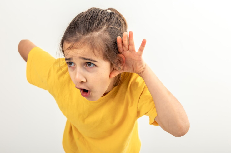 all about ಕಿವಿ