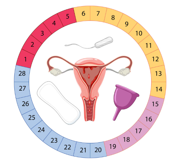 ಇರ್ರೆಗುಲರ್ ಪೀರಿಯೆಡ್ಸ್