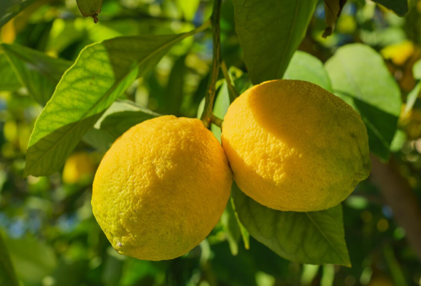 lemon for Glowing Skin