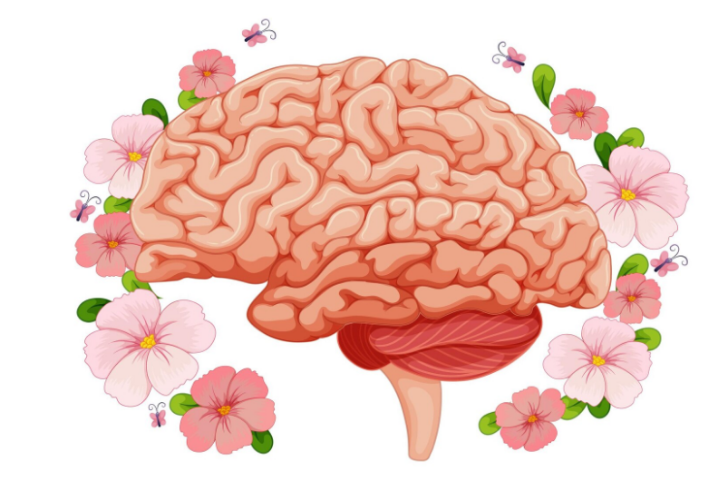 Brain Health, Memory Power